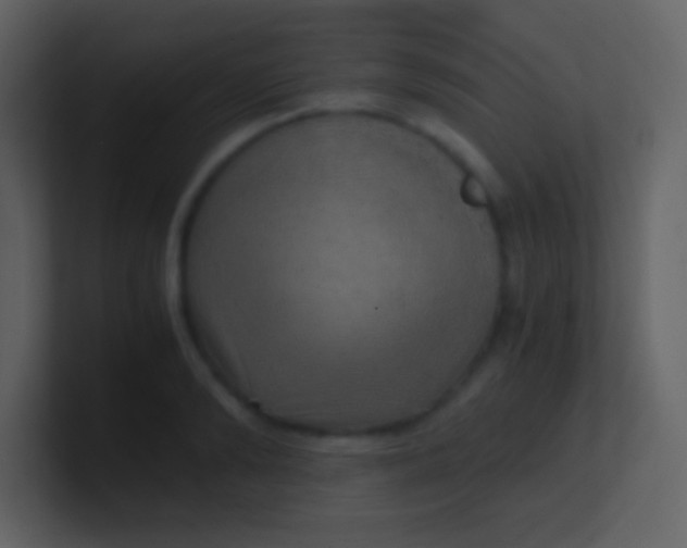 X0000100930894200807081210