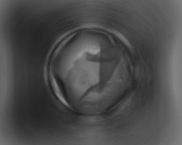 X0000100930895200807081210