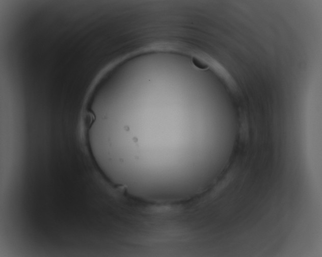 X0000100930896200807081210