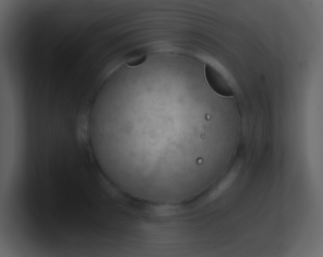 X0000100930897200807081210