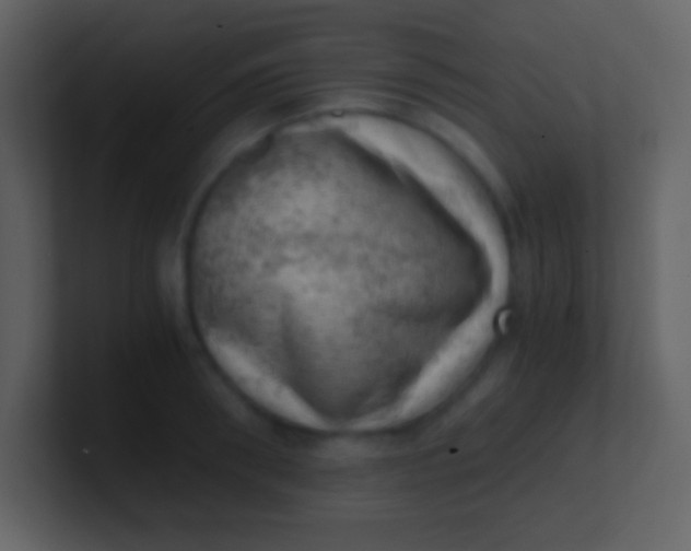 X0000100930898200807081210