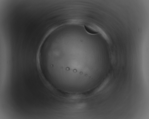 X0000100930899200807081210