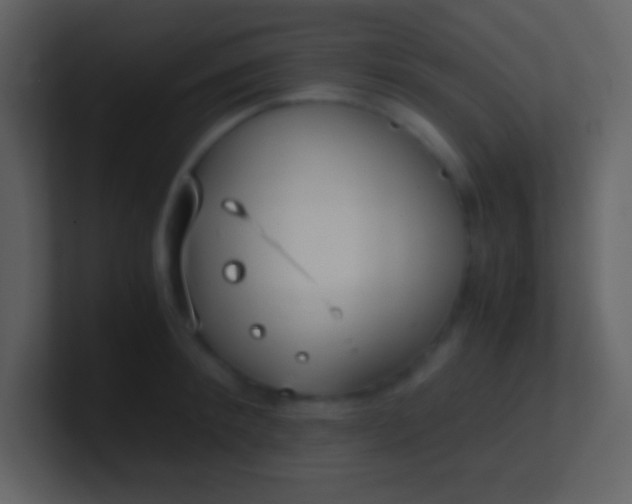 X0000100930900200807081210