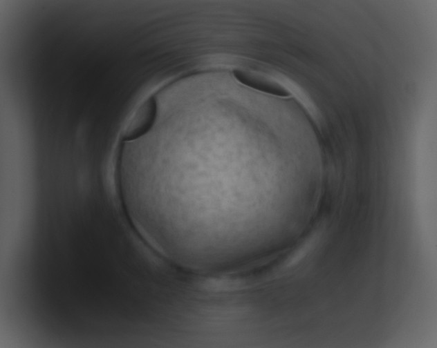 X0000100930901200807081210