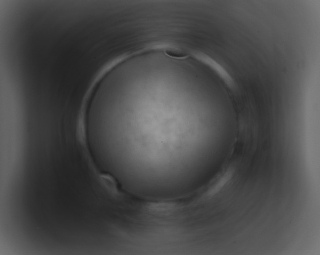 X0000100930902200807081210