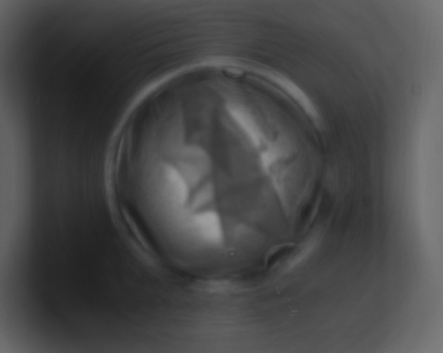 X0000100930903200807081210