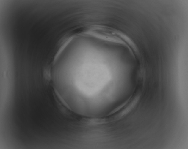 X0000100930905200807081210