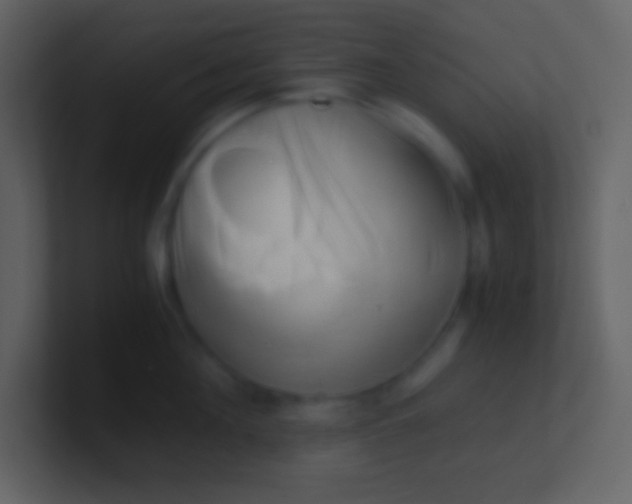 X0000100930908200807081210