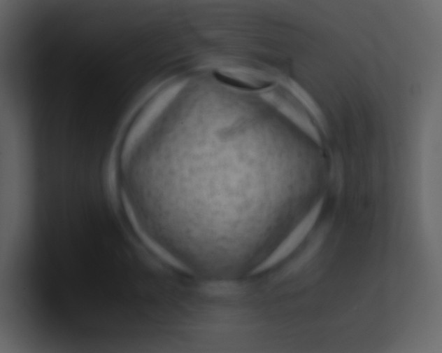 X0000100930909200807081210