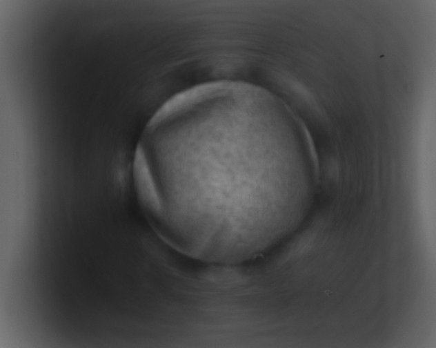 X0000100930914200807081209