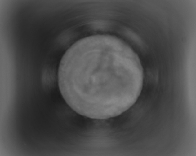 X0000100930918200807081209