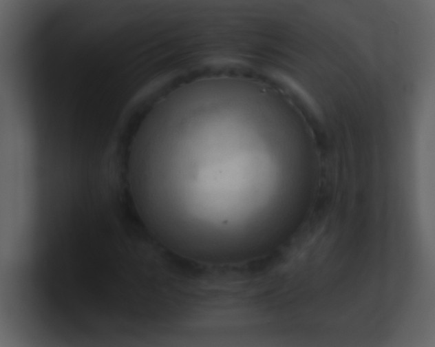 X0000100930919200807081209