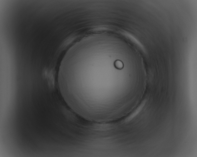 X0000100930921200807081209