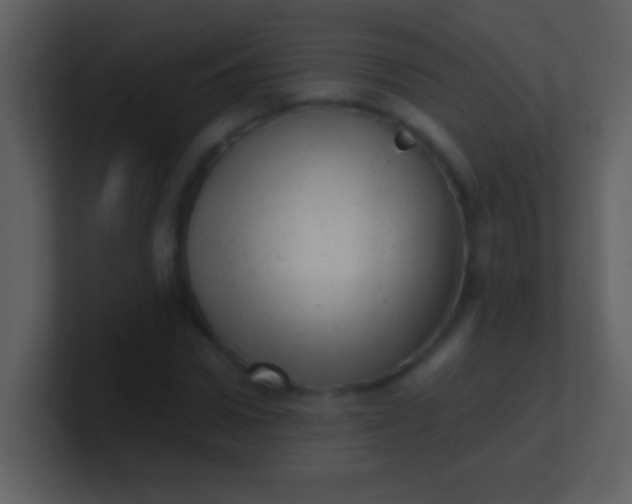 X0000100930922200807081209