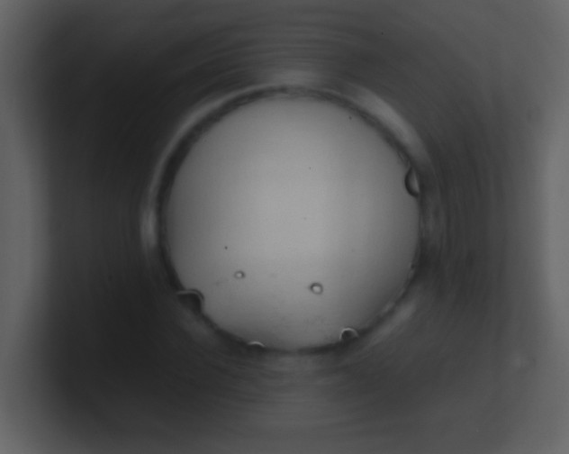 X0000100930924200807081209