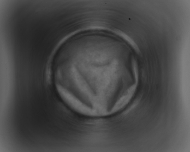 X0000100930926200807081209