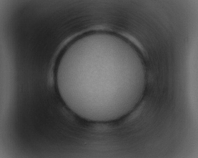 X0000100930927200807081209