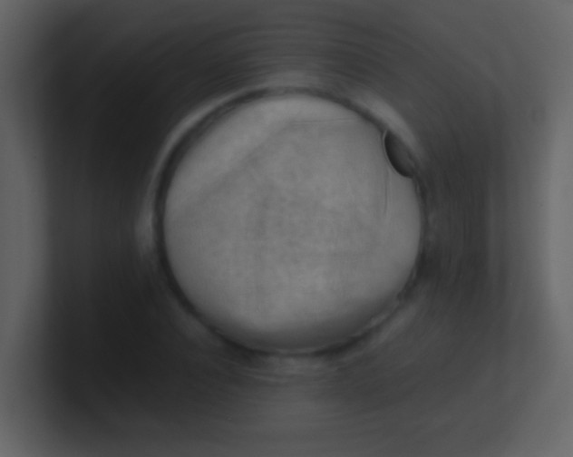 X0000100930928200807081209