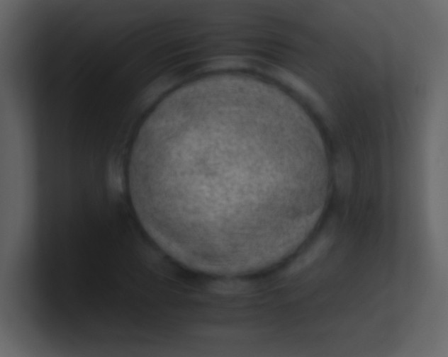 X0000100930929200807081209