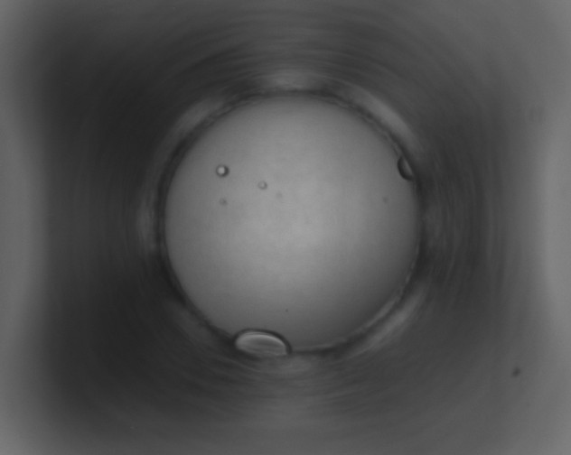 X0000100930930200807081209