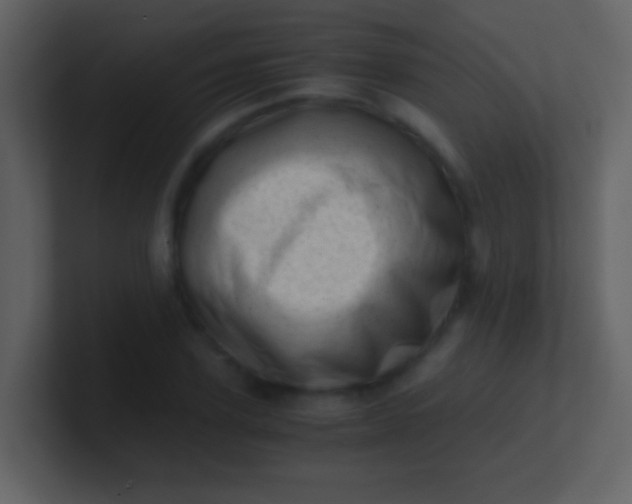 X0000100930931200807081209