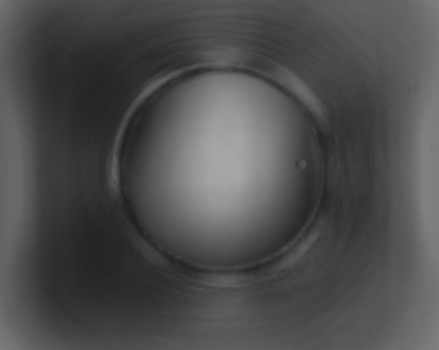 X0000100930932200807081209