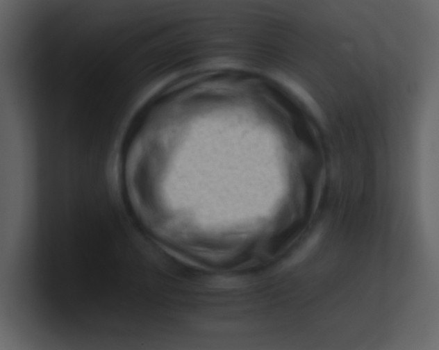 X0000100930933200807081210