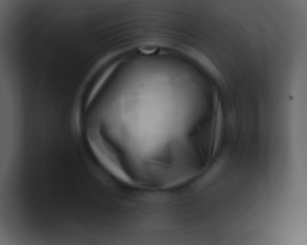 X0000100930934200807081210