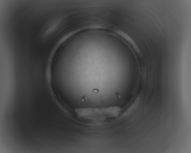 X0000100930935200807081210