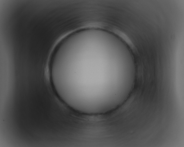 X0000100930936200807081210