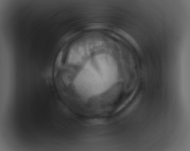 X0000100930937200807081210