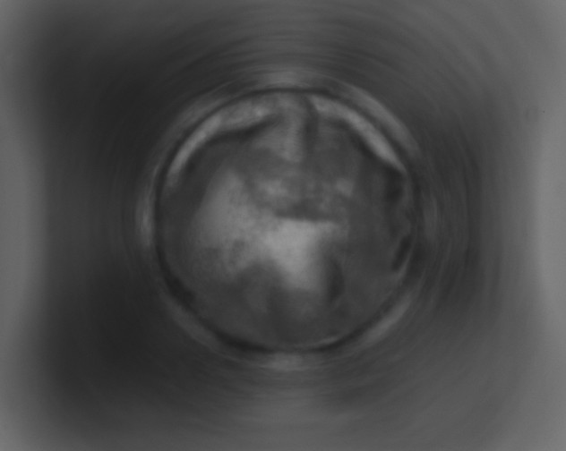 X0000100930938200807081210