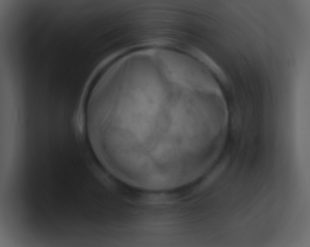 X0000100930940200807081210