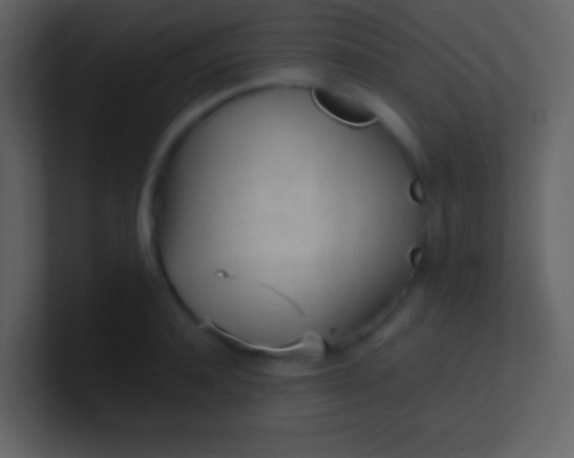 X0000100930944200807081210