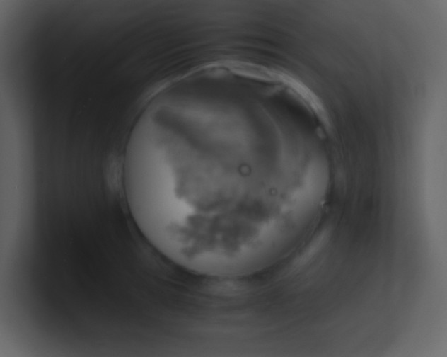 X0000100930945200807081210