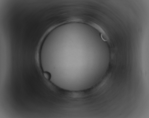 X0000100930947200807081210