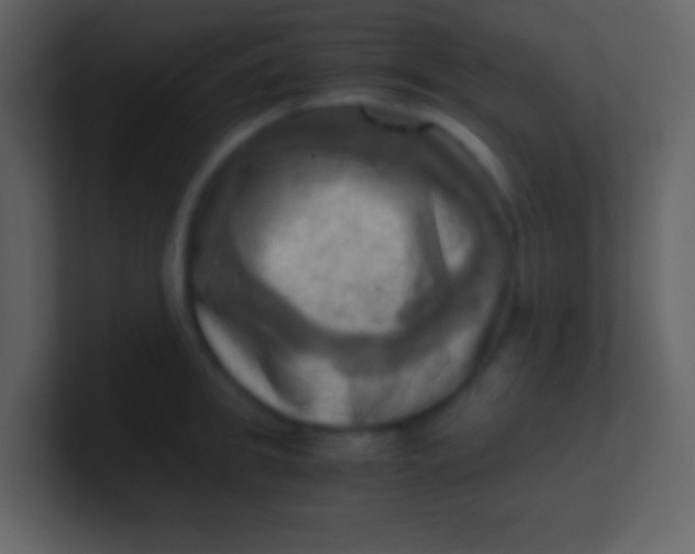 X0000100930949200807081210