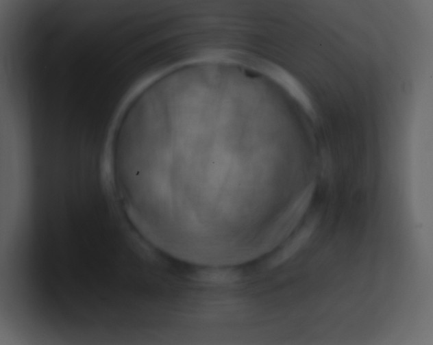 X0000100930952200807081210