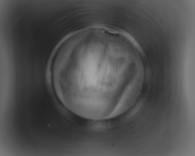 X0000100930955200807081210