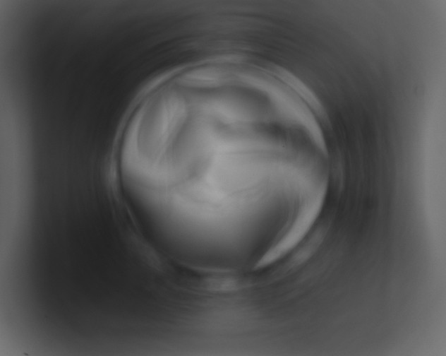 X0000100930956200807081210