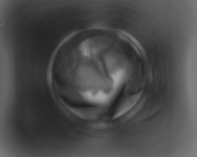 X0000100930957200807081210