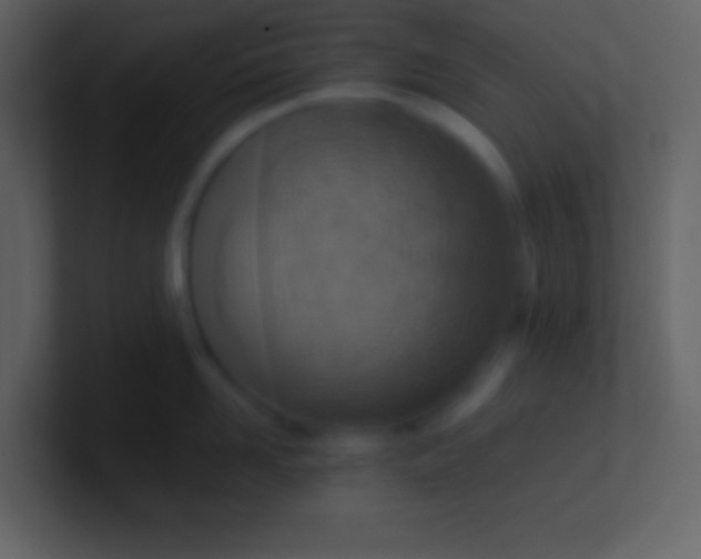 X0000100930958200807081210