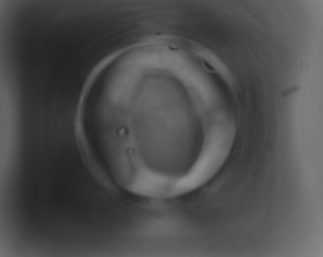 X0000100930960200807081210