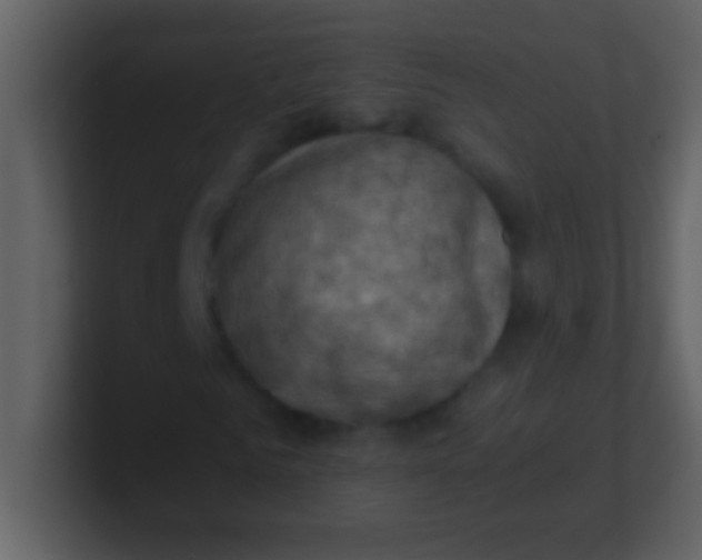 X0000100930961200807081209