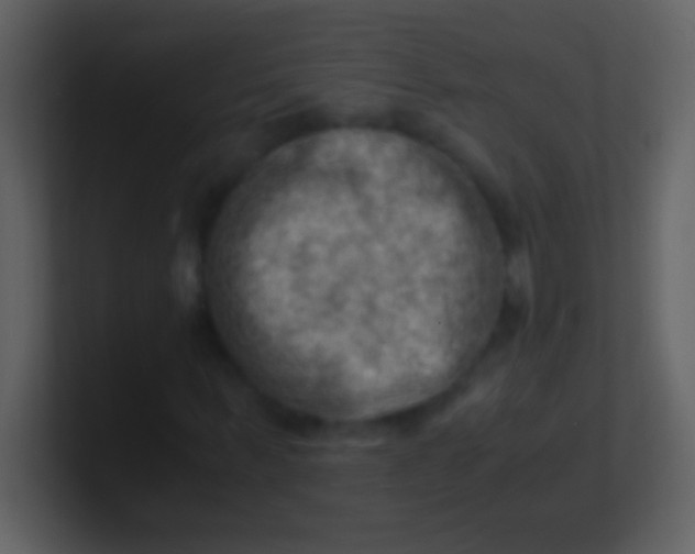 X0000100930963200807081209