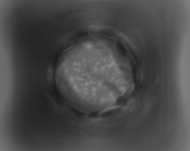 X0000100930964200807081209