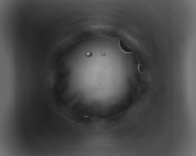 X0000100930965200807081209