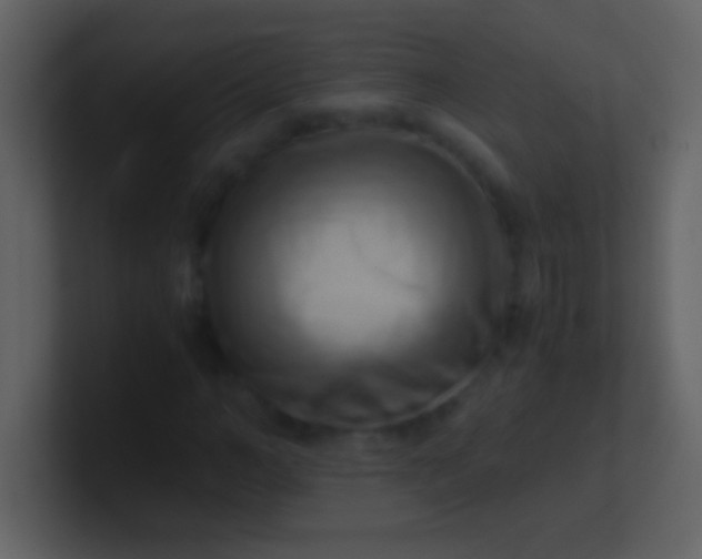 X0000100930966200807081209