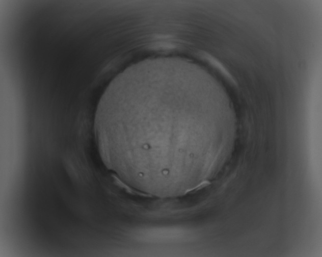 X0000100930967200807081209