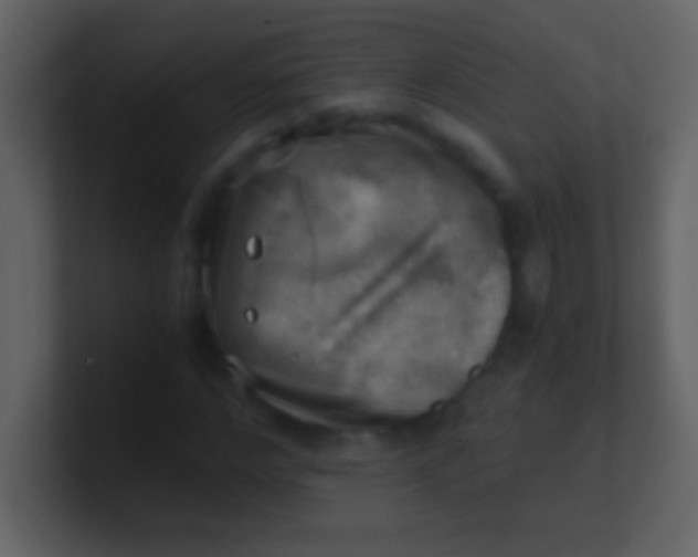 X0000100930968200807081209